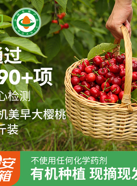 旭耕 有机山东烟台美早大樱桃新鲜国产车厘子孕妇水果3/5斤装顺丰