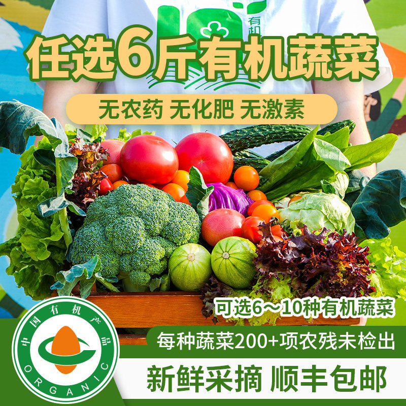 旭耕任选6斤 有机蔬菜新鲜套餐轻食沙拉时令果蔬礼盒包装礼品