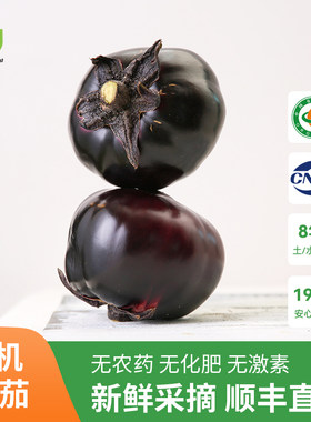 旭耕有机圆茄净菜时令新鲜蔬菜