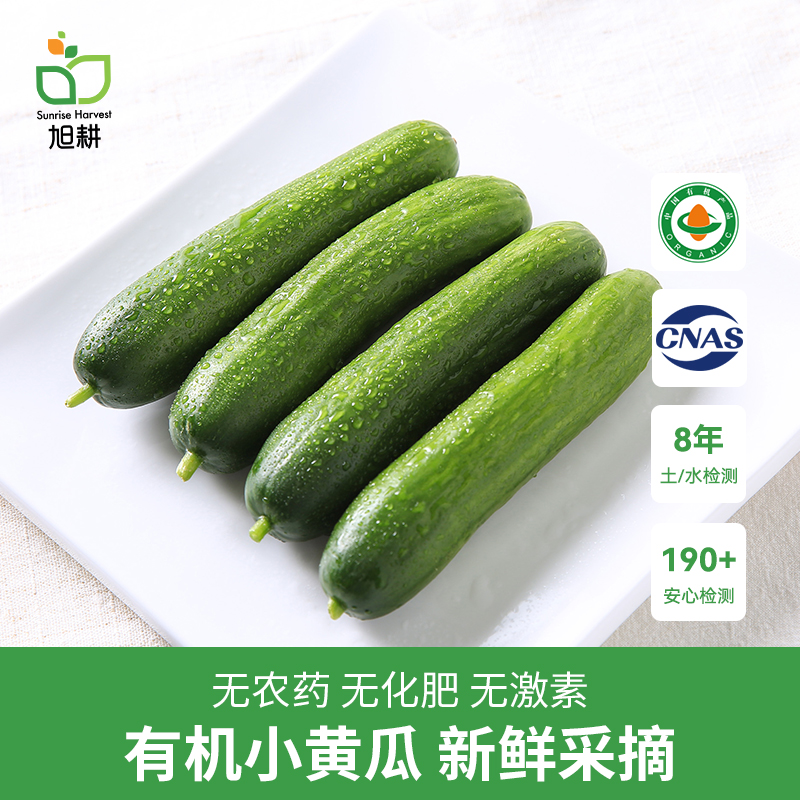 有机小黄瓜新鲜脆嫩生吃500g顺丰