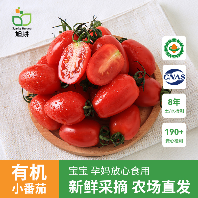 旭耕 有机红樱桃小番茄可生吃水果500g 圣女果西红柿新鲜蔬菜食用,水产肉类/新鲜蔬果/熟食,番茄,淘宝优惠券,粉丝福利购,淘宝优惠卷