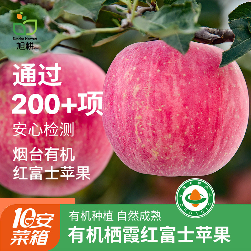 旭耕 烟台有机苹果4.8斤山东栖霞正宗红富士水果糖心新鲜脆甜孕妇