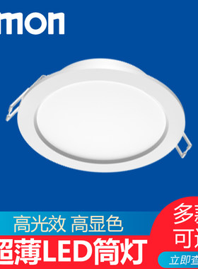 西蒙led灯具CD15筒灯射灯