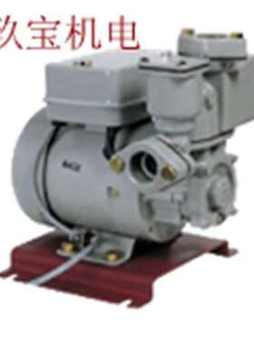 25CT502日本IWAYA岩谷电机水泵401STX604 ，251SS502，WP-141B