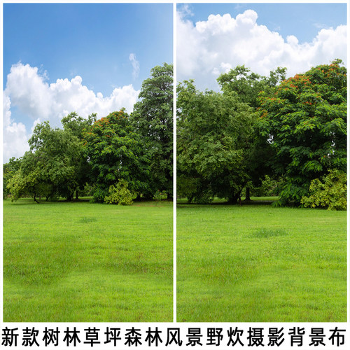森林草坪风景背景布室内直播道具