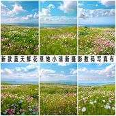 新款 蓝天鲜花草地清新儿童摄影背景布小红书影楼仿真网红写真布