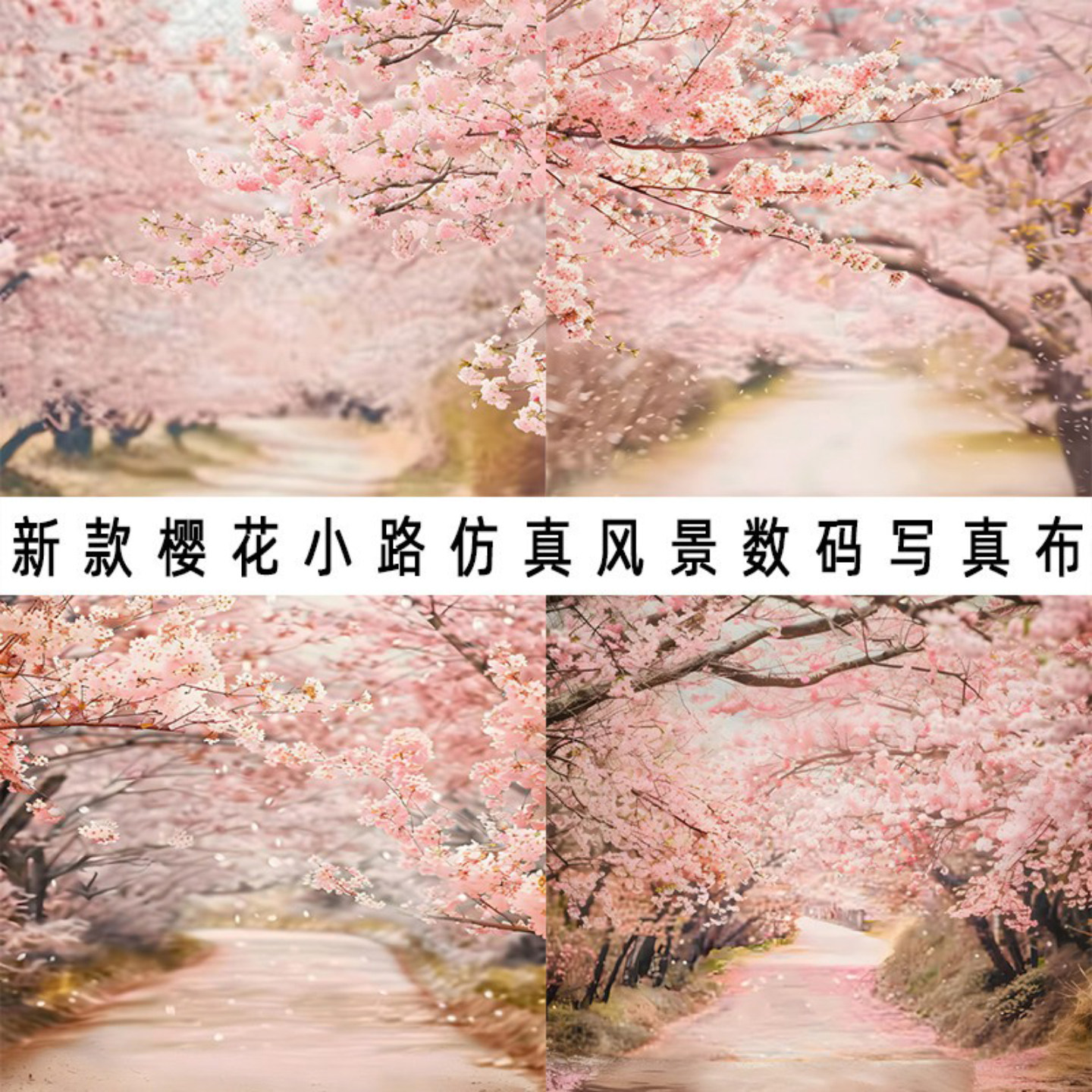 林间樱花小路摄影背景布影棚网红