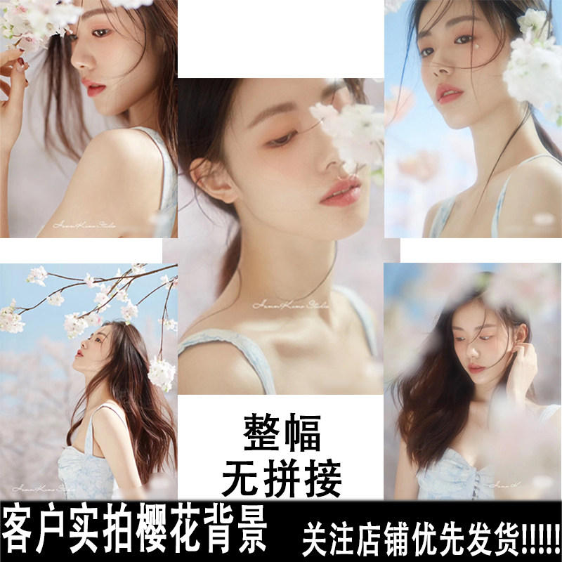 樱花系列写真布照相馆拍照摄影
