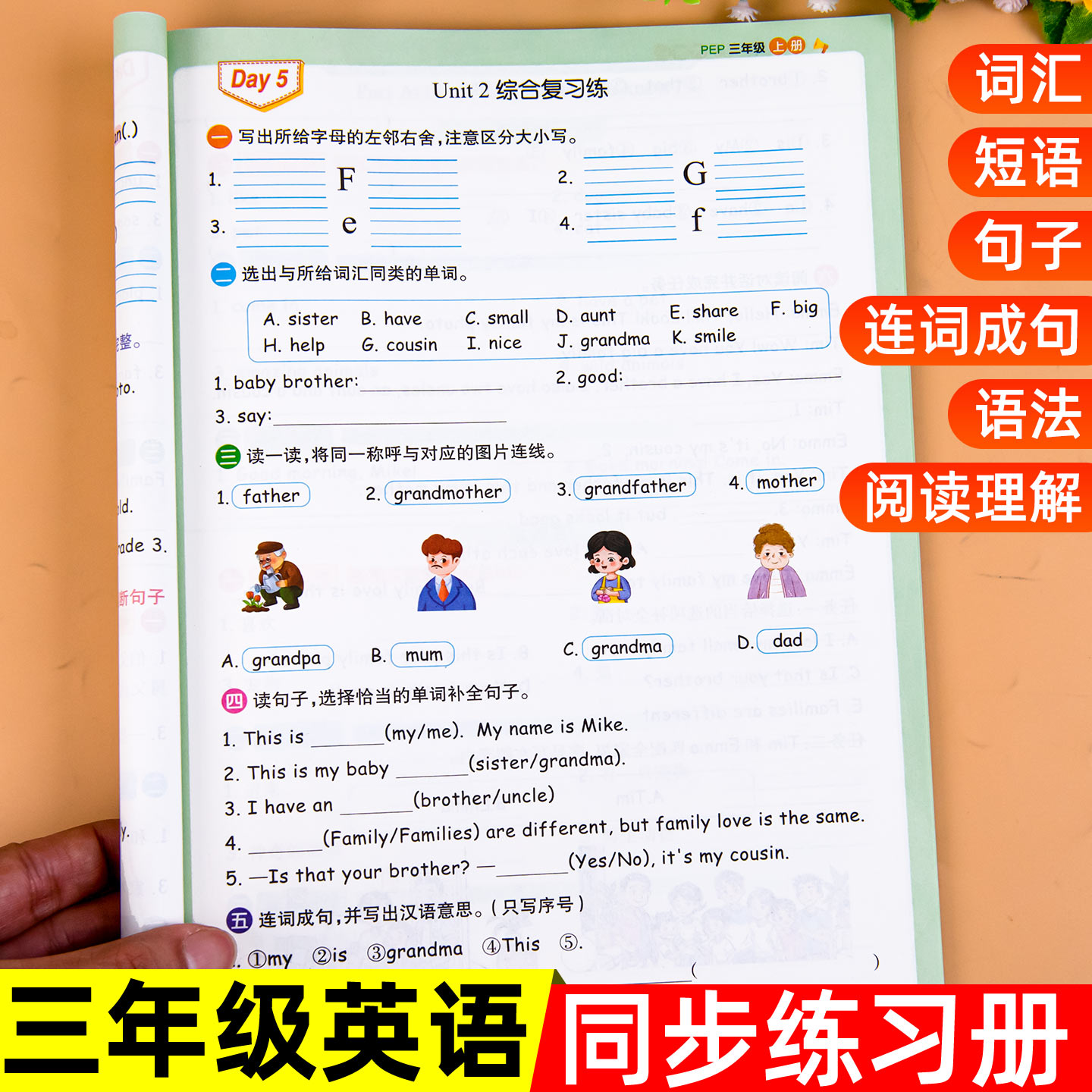 三年级上册英语专项训练六合一