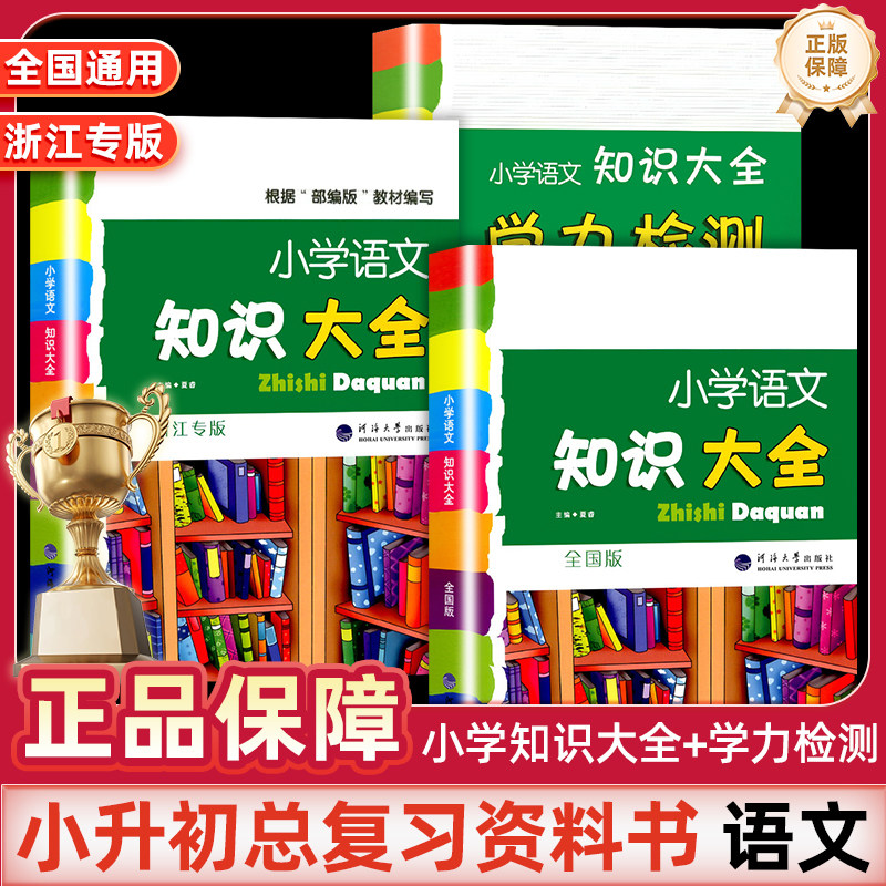 小学语文知识大全学力检测通用