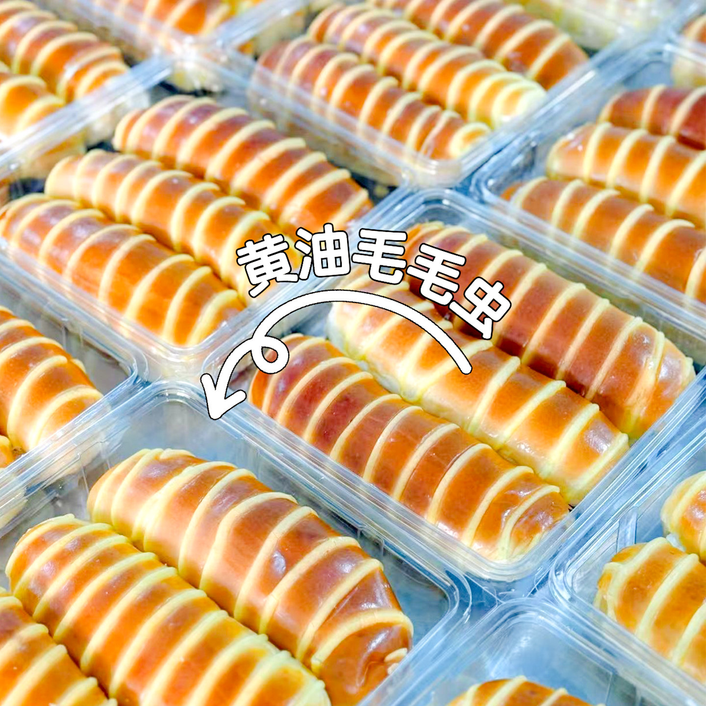 联新烘焙毛毛虫面包盒牛奶棒面包包装盒透明点心一次性甜品打包盒