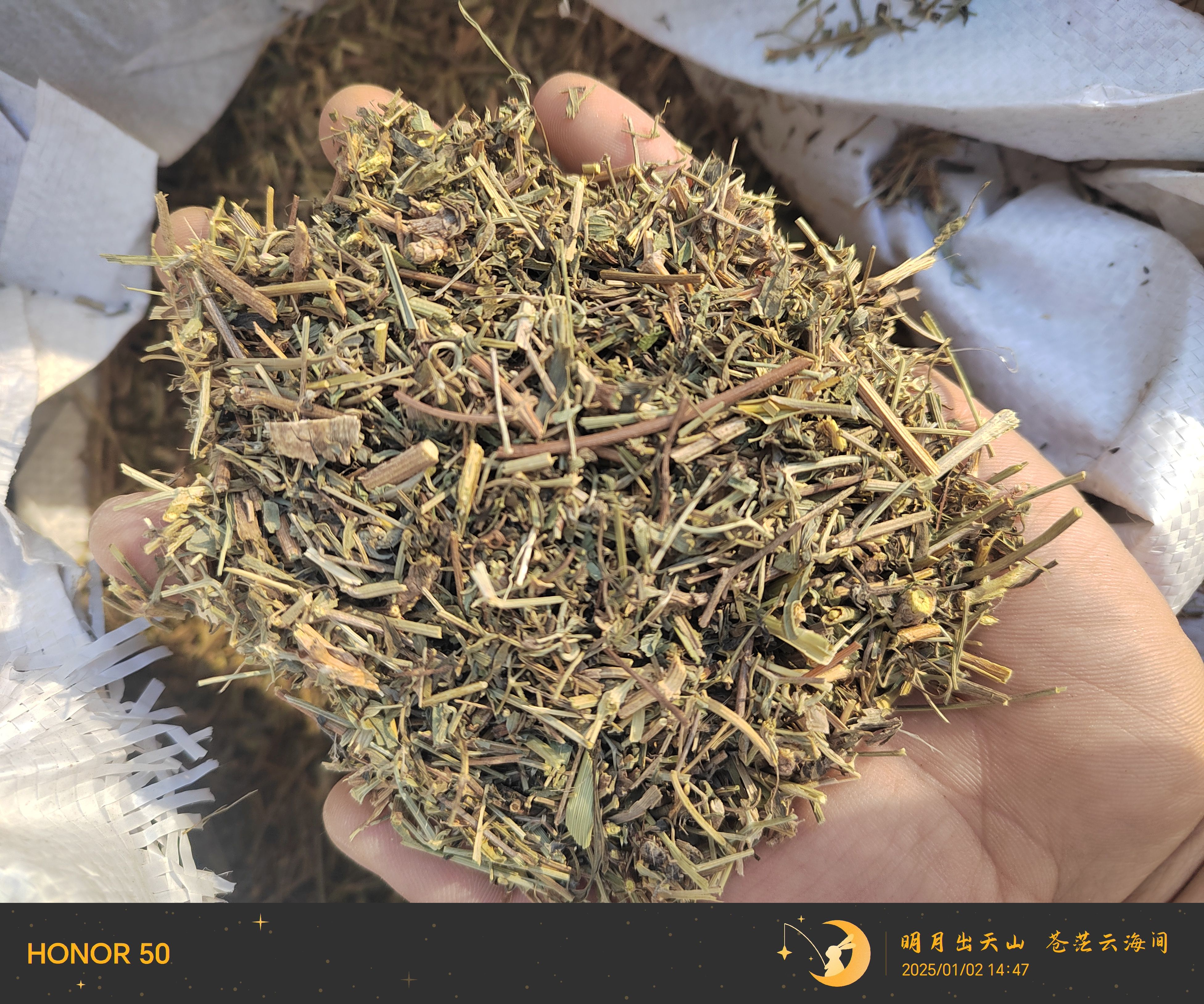 中药材 透骨草500克另有伸筋草红花干姜艾叶