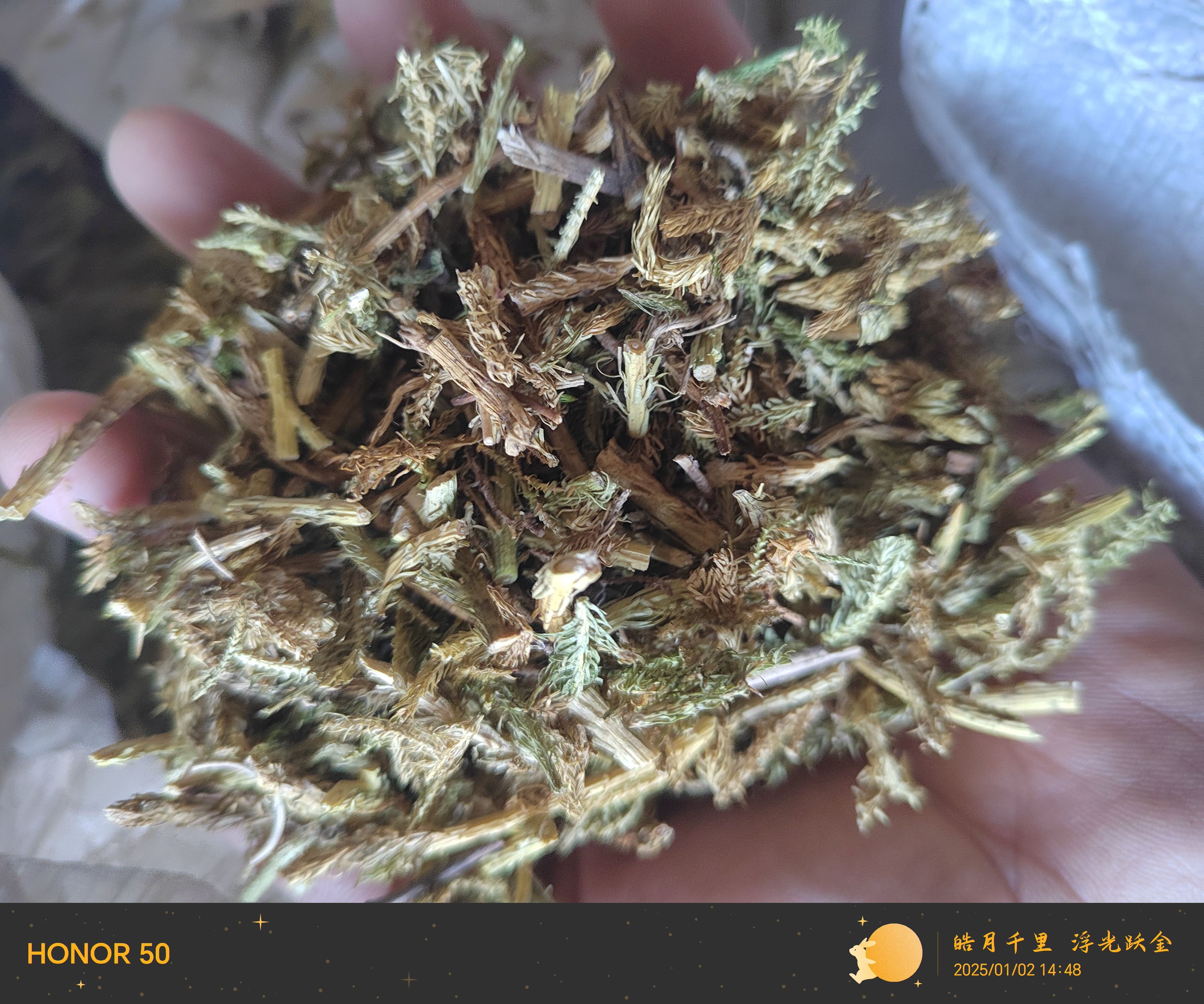中药材 伸筋草500克另有透骨草艾叶红花干姜