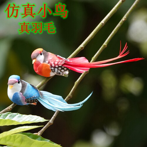 高仿真小鸟价真羽毛可爱