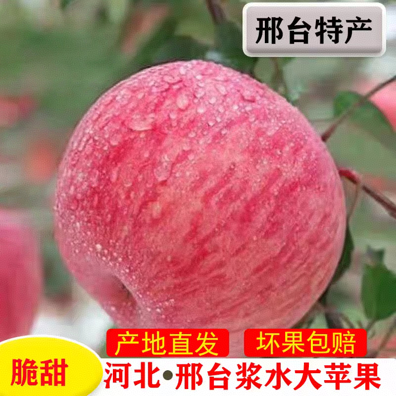 现摘河北特产整箱包邮红富士苹果