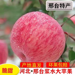 新鲜现摘浆水红富士苹果河北邢台特产当季农家水果10斤整箱包邮