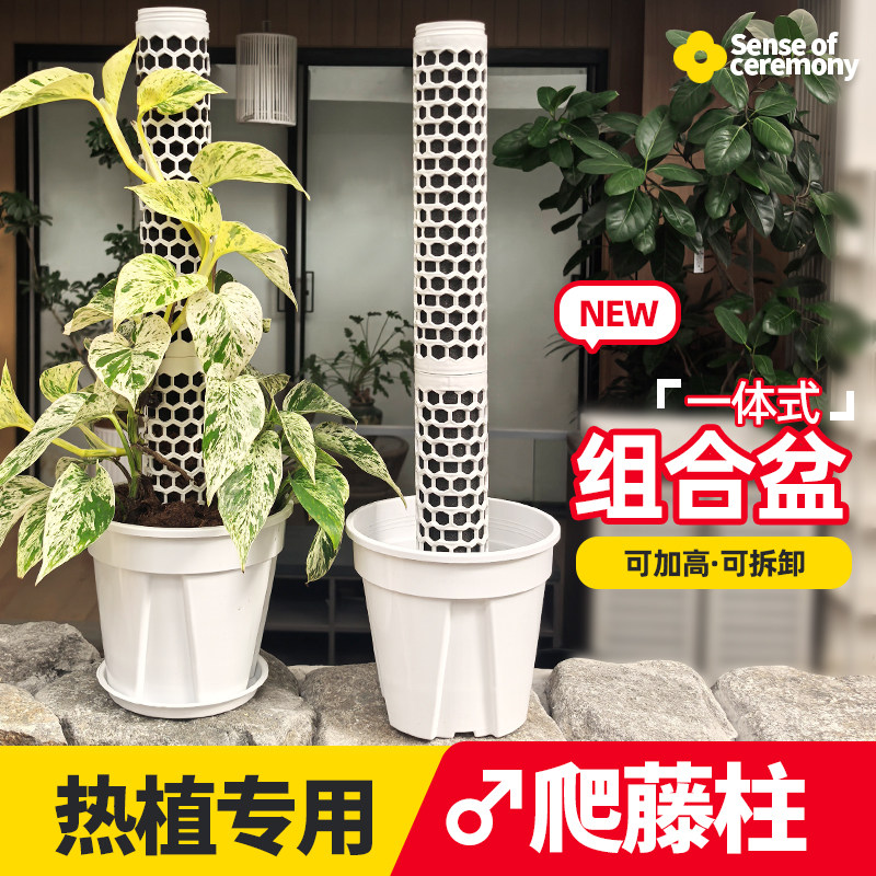新型白龟绿萝爬藤柱花盆一体式