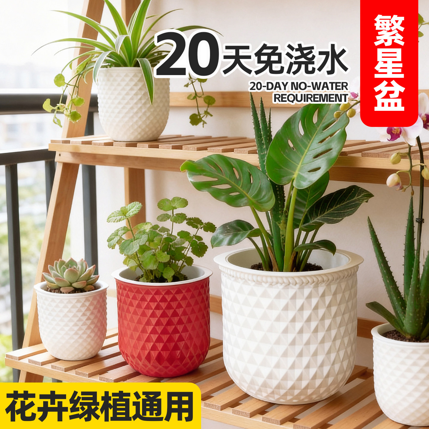 自吸水花盆塑料家用树脂轻奢高级感大号绿萝发财树蝴蝶兰兰花专用