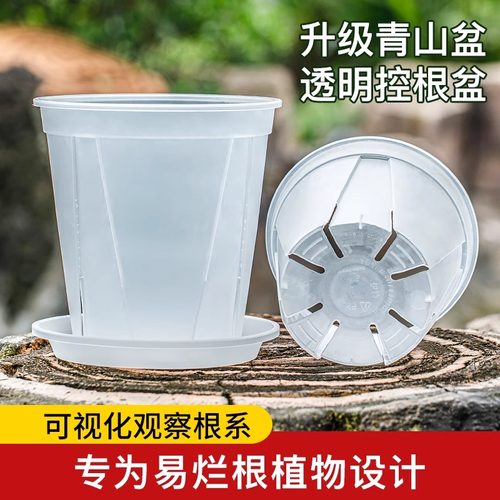 观根控根透气透明青山花盆