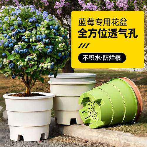 蓝莓专用控根透气花盆