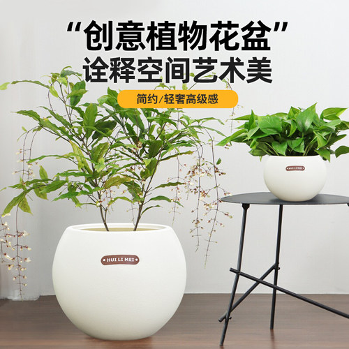 个性创意圆球大花盆简约轻奢