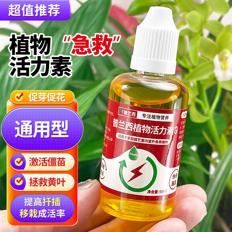 植物活力素浓缩营养液促生长促花养花发财树蔬菜绿植通用专用肥料 鲜花速递/花卉仿真/绿植园艺 家庭园艺肥料 原图主图