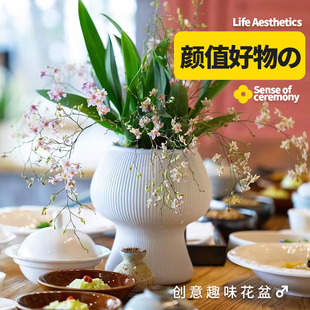 创意蘑菇树脂蝴蝶兰花花盆家用水培绿萝轻奢高级感懒人自吸水新款