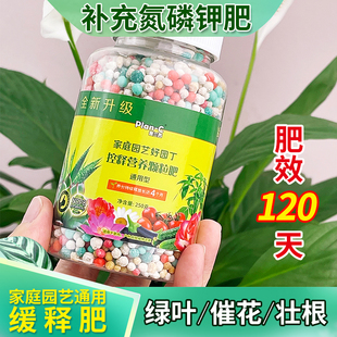 花卉肥料蔬菜多肉盆栽植物通用控缓释颗粒发财树绿萝氮磷钾复合肥