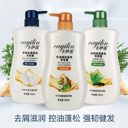 卡伊莲控油精油强韧丝质柔顺去屑香氛洗发露植物精华止痒滋润