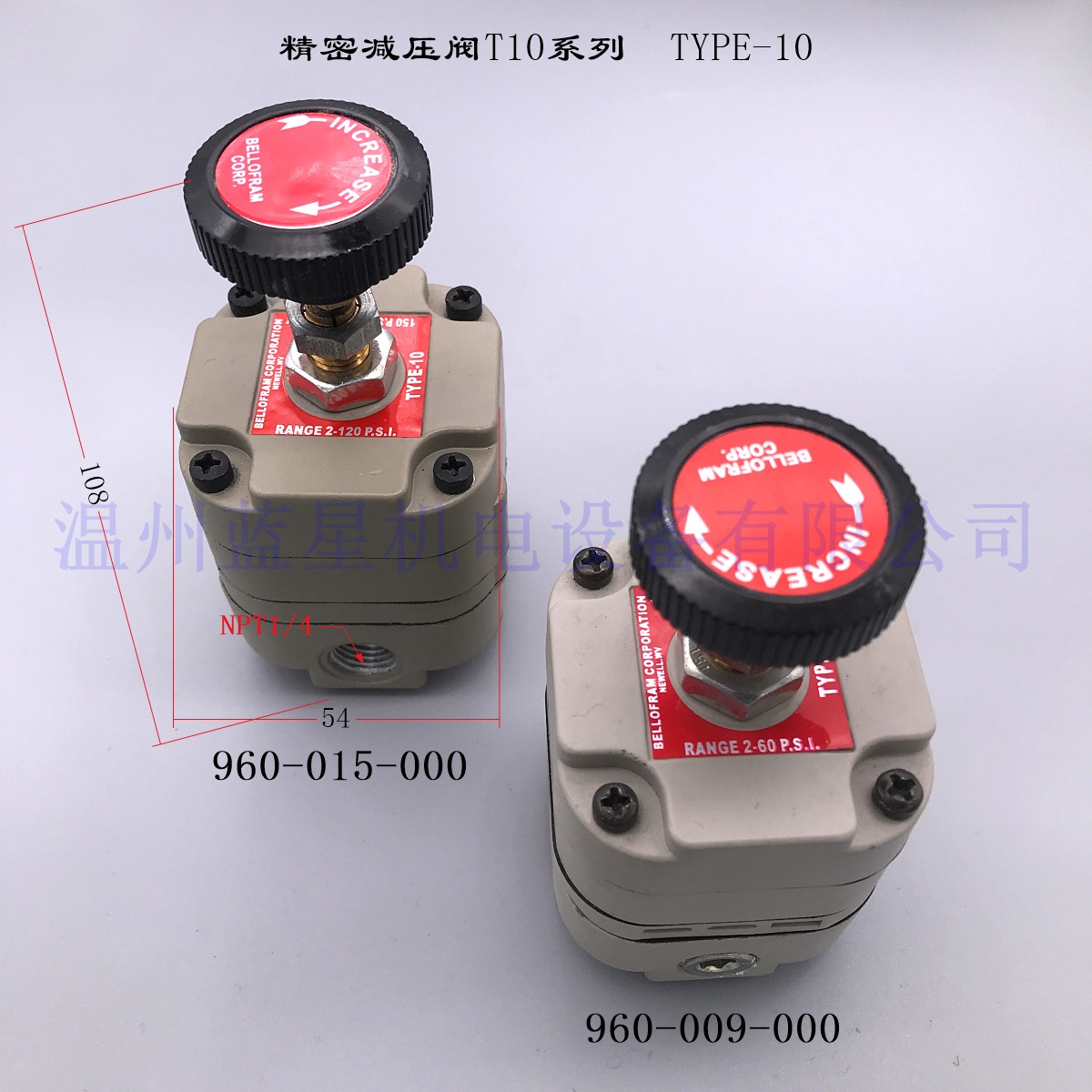 960-003-000精密减压阀蓝星