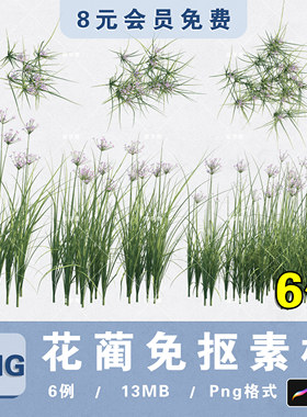 水生植物花蔺PNG高清免抠花蔺平立面PS分层植物素材procreate贴图