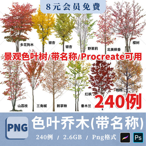 园林景观色叶树PNG免抠图银杏红枫秋季彩色效果图后期植物ps素材
