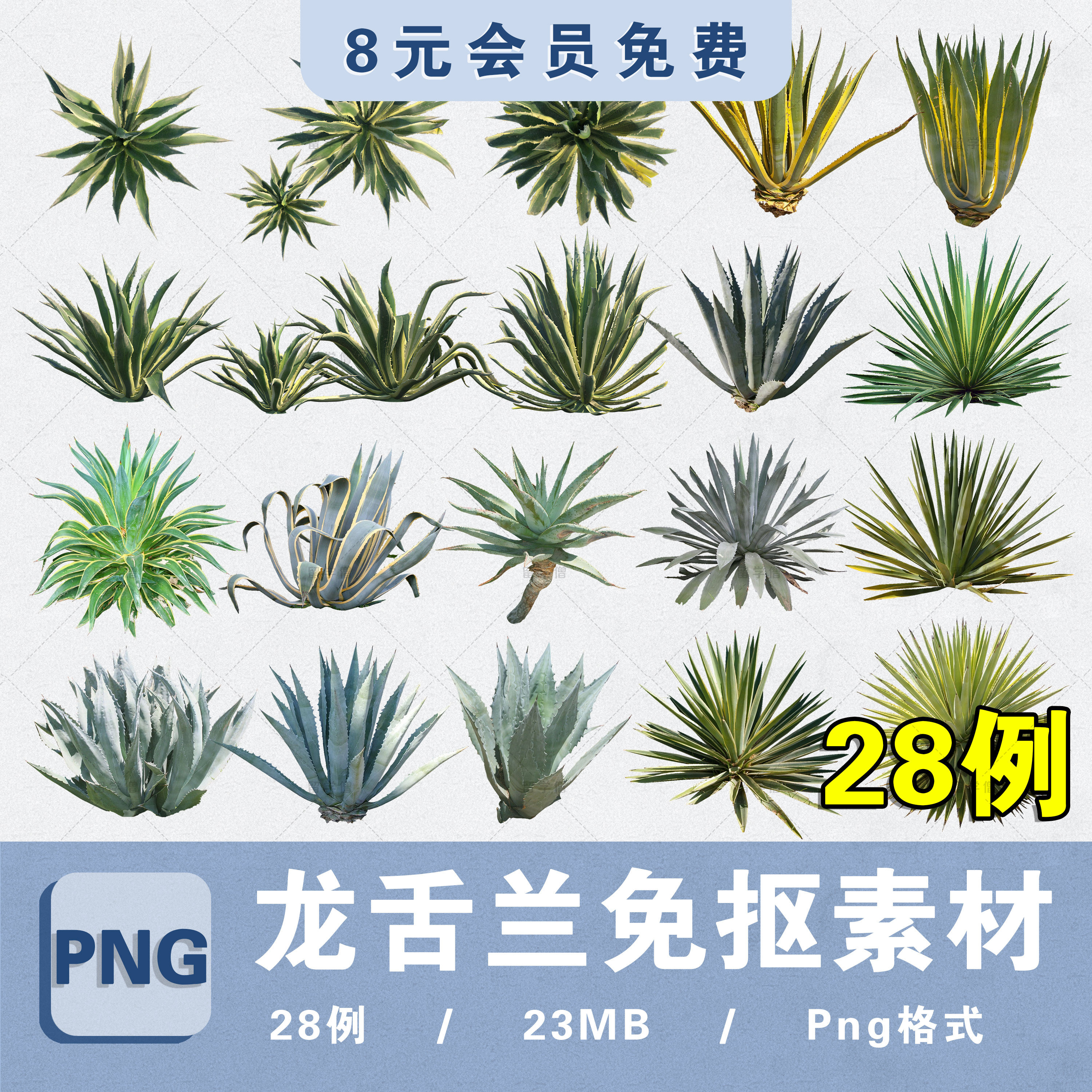 热带花境植物龙舌兰png高清免抠ps分层龙舌兰拼贴图procreate素材