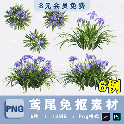 水生湿地植物鸢尾花PNG免抠鸢尾花平立面PS分层素材procreate贴图