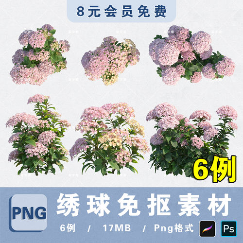 花境灌木绣球花PNG高清免抠绣球花平立面PS分层素材procreate贴图