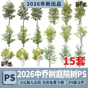 园林景观常绿小乔木中乔庭院树丛生植物效果图后期PSD免抠ps素材