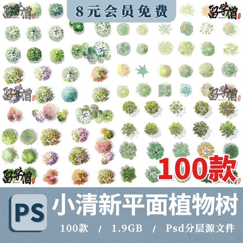 2025小清新植物ps彩平图素材ps竞赛风顶视平面树素材psd分层素材