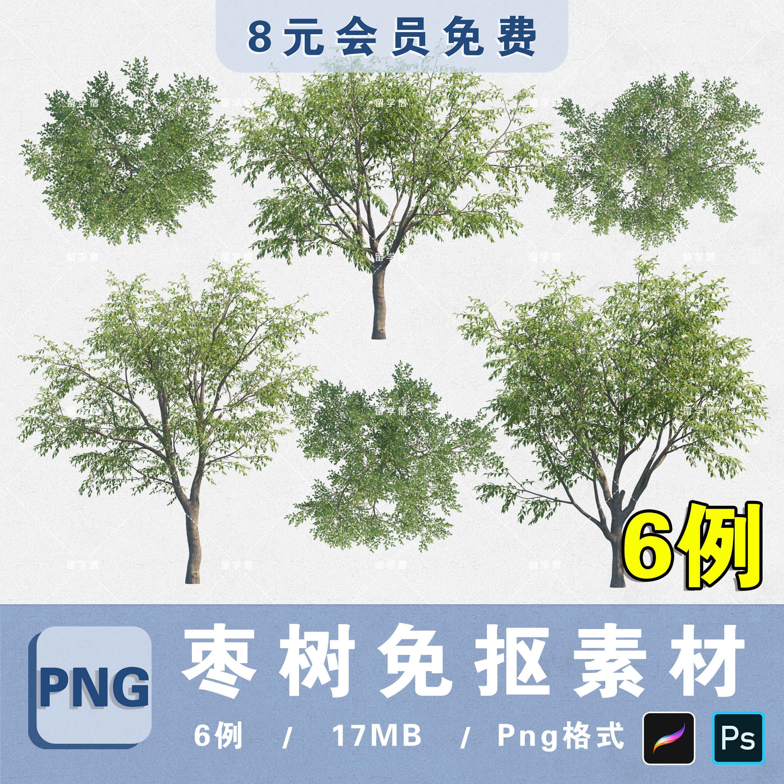 全冠枣树果树素材png高清免抠枣树平立面ps分层素材procreate贴图