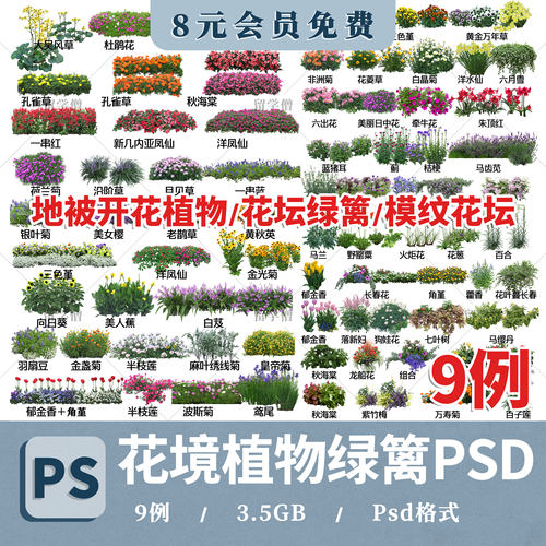 园林户外花境植物配置花卉绿篱灌木丛地被草花后期免抠ps植物素材