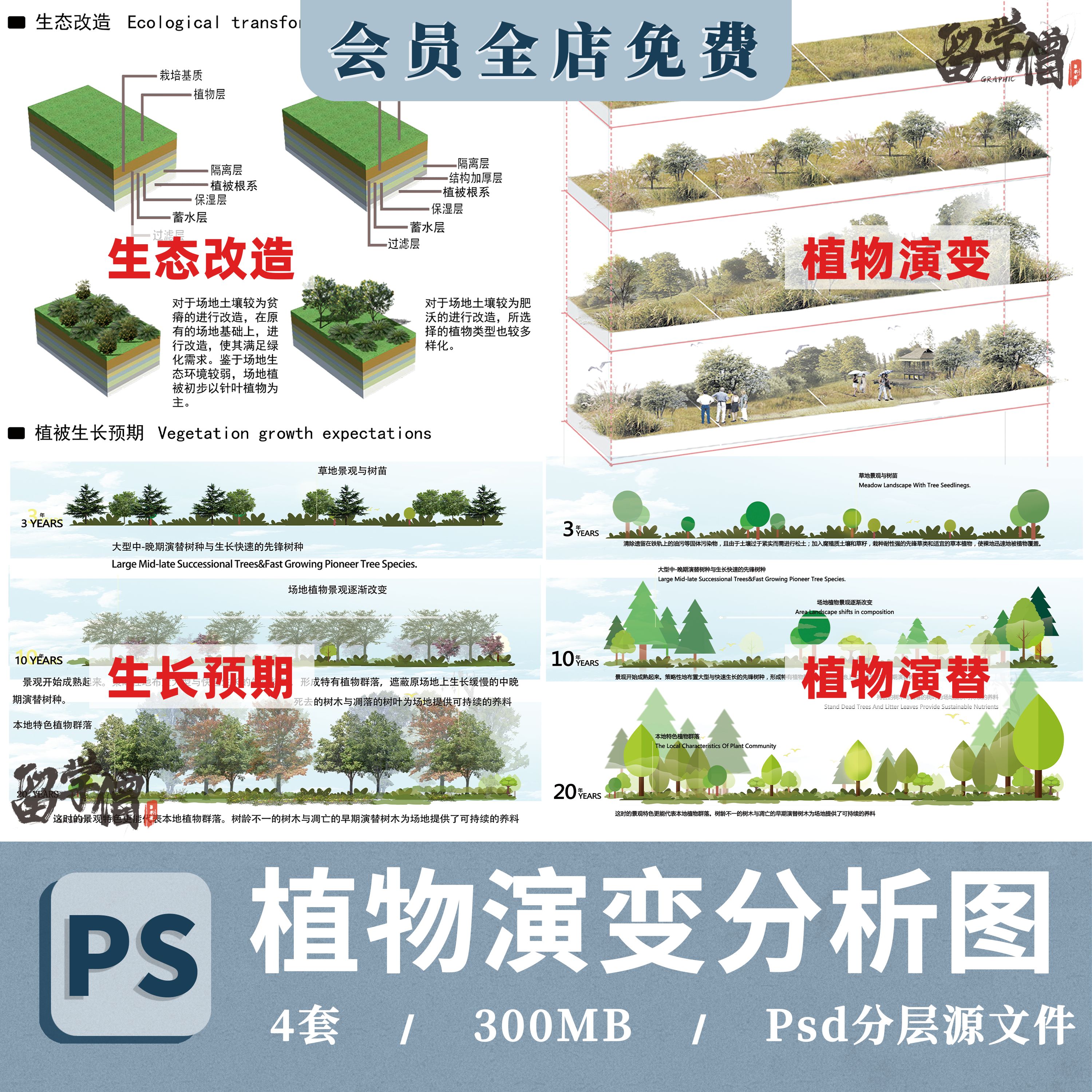 公园景观植物演变分析图ps植物生长预计自然修复演替psd免扣素材