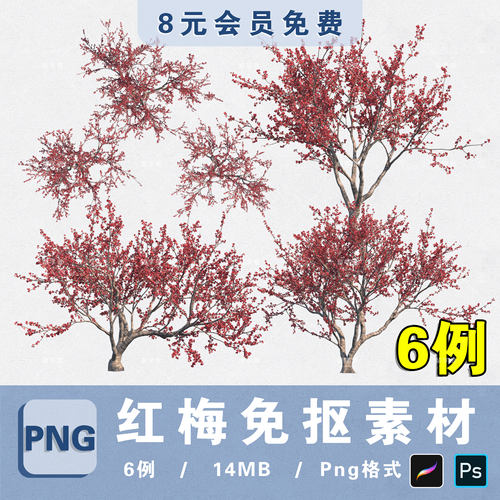 开花乔木红梅树高清无背景PNG免抠PSD分层图片procreate贴图素材