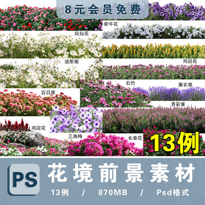 三角梅矮牵牛花凤仙鸡冠花石竹香彩雀长春花境ps高清免抠图片素材