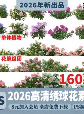 PS高清重瓣玫红蓝色绣球花境镜花卉植物配置景观效果图PSD素材