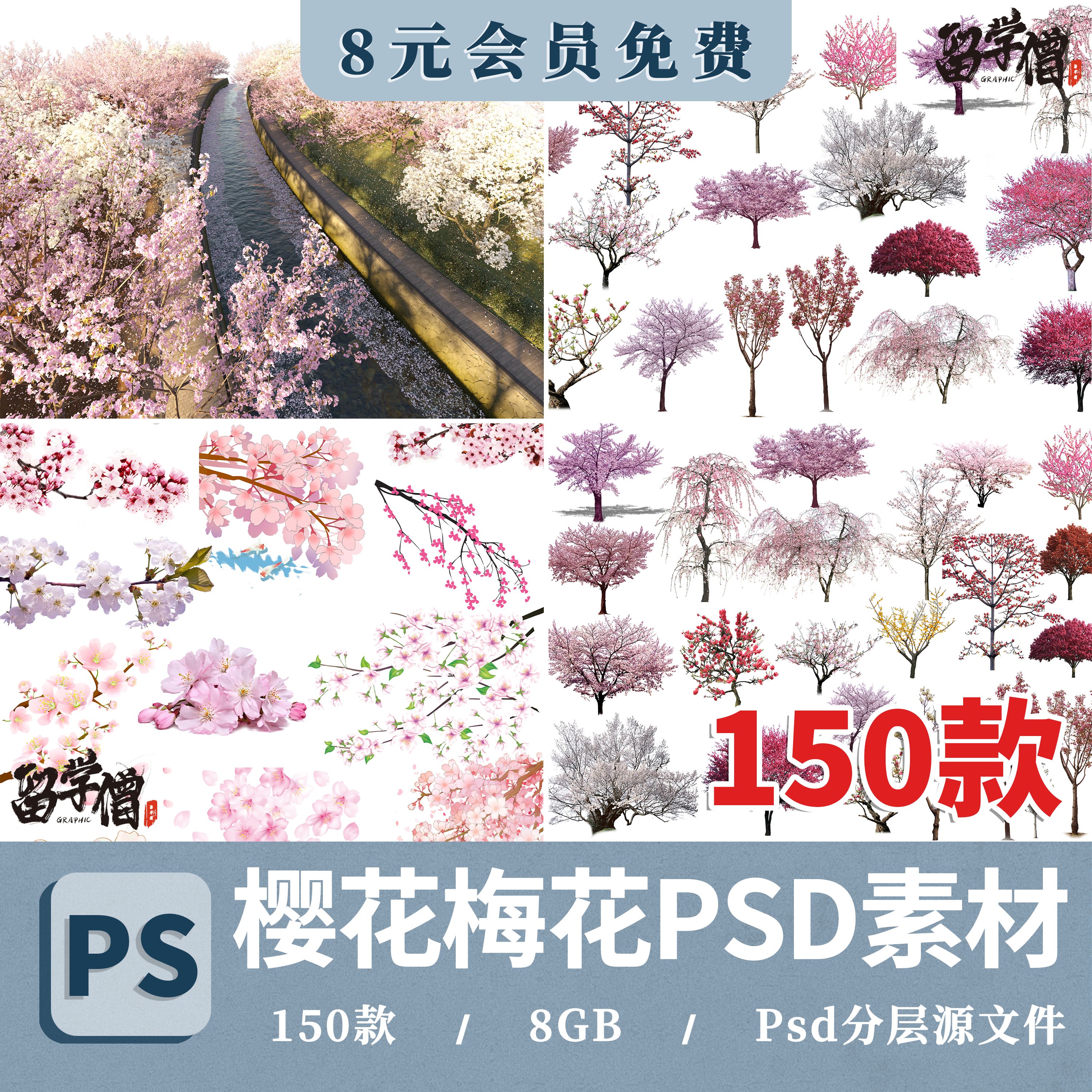 樱花树梅花树PS免抠 景观园林梅花桃花花瓣街道植物PSD效果图素材