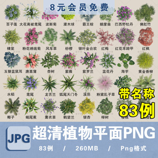 procreate彩平图植物树草花卉花境乔灌木平面图例PSD/PNG免抠素材