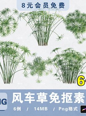 水生植物风车草PNG高清免抠风车草平立面PS分层素材procreate贴图