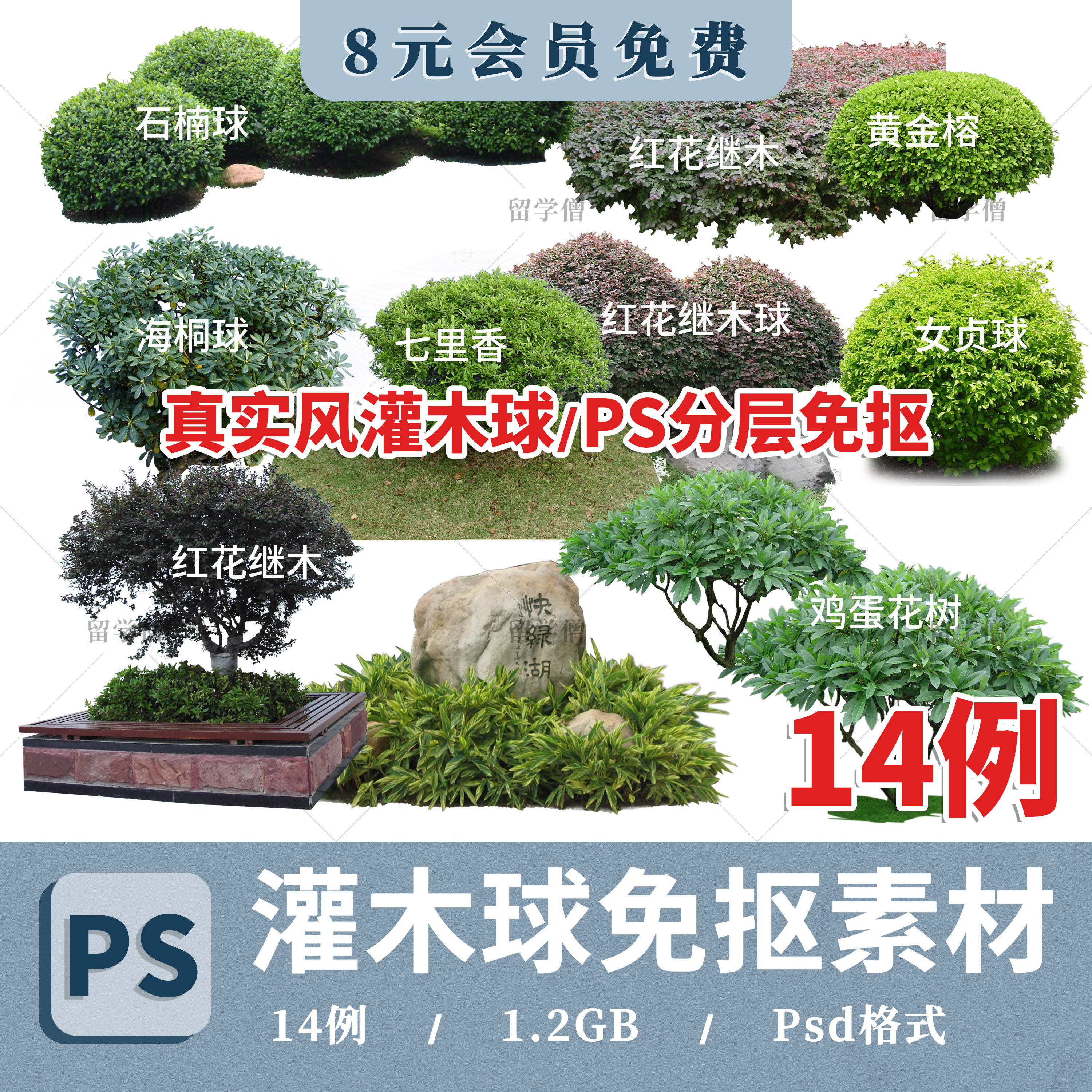 园林景观灌木球ps素材psd免抠效果图球形植物红檵木黄杨女贞石楠