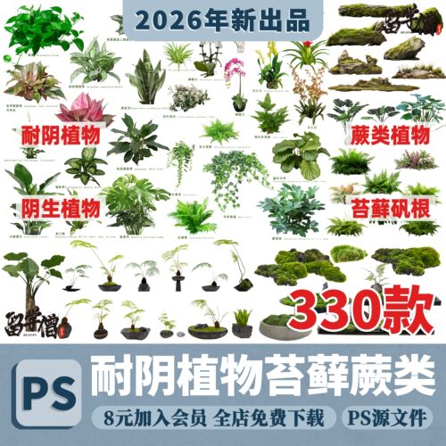园林景观耐阴植物蕨类苔藓矾根耐荫花镜地被ps素材psd免扣效果图