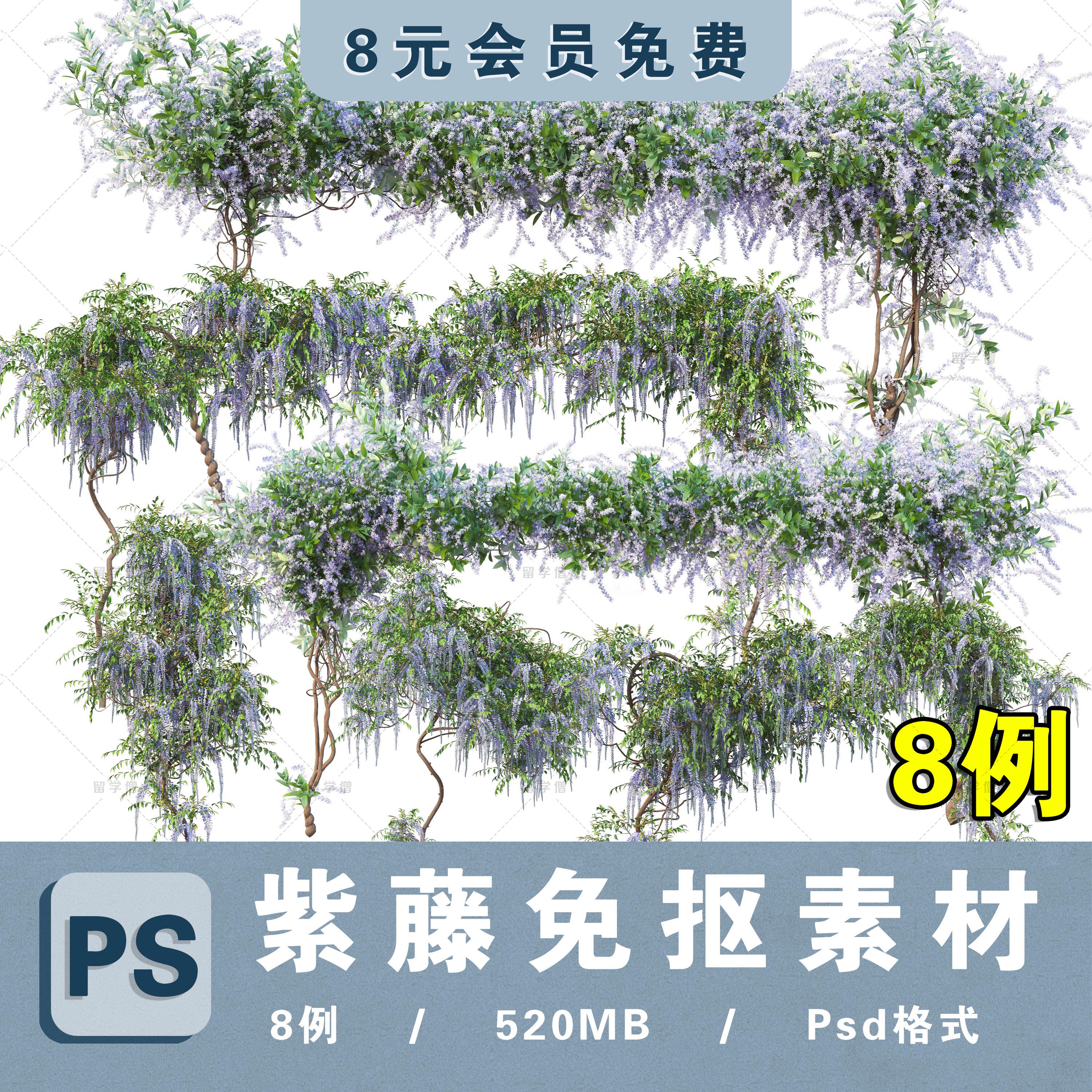 朱藤藤萝垂吊藤蔓藤本植物png紫藤花廊架高清psd分层免抠植物素材