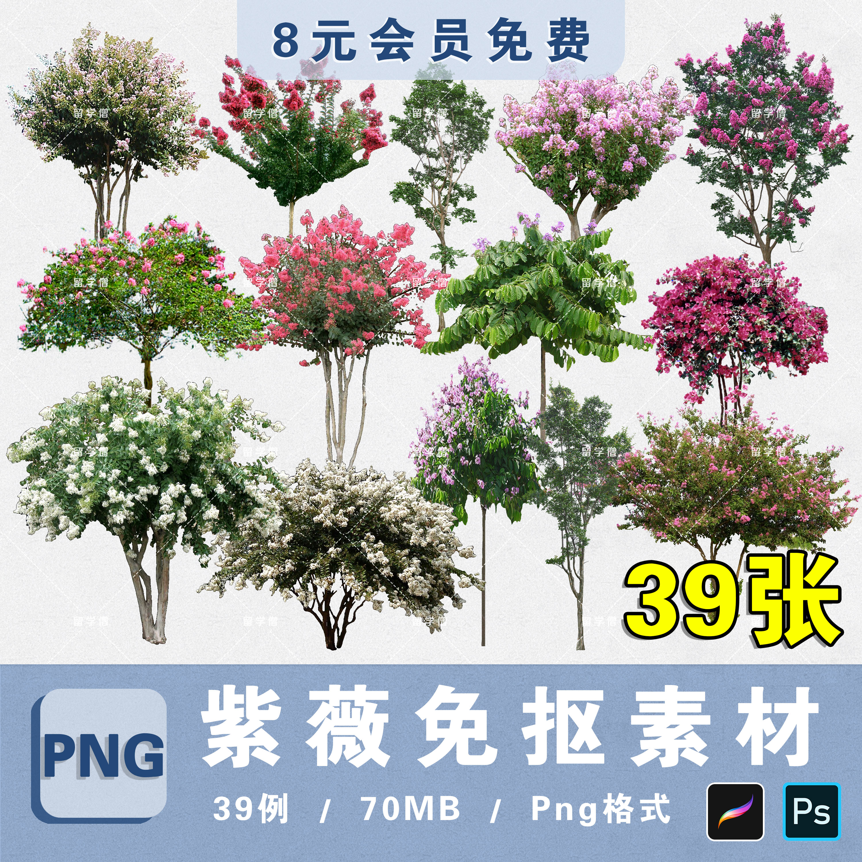 园林景观后期花乔白花红花大花紫薇花树非高清免抠png图片psd素材